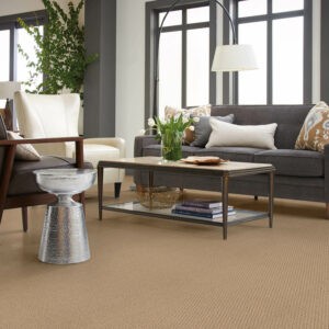 Carpet Inspiration | Puckett's Flooring