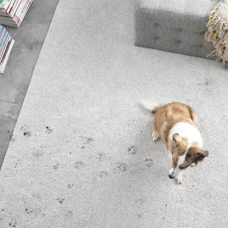 Area rug care | Puckett's Flooring