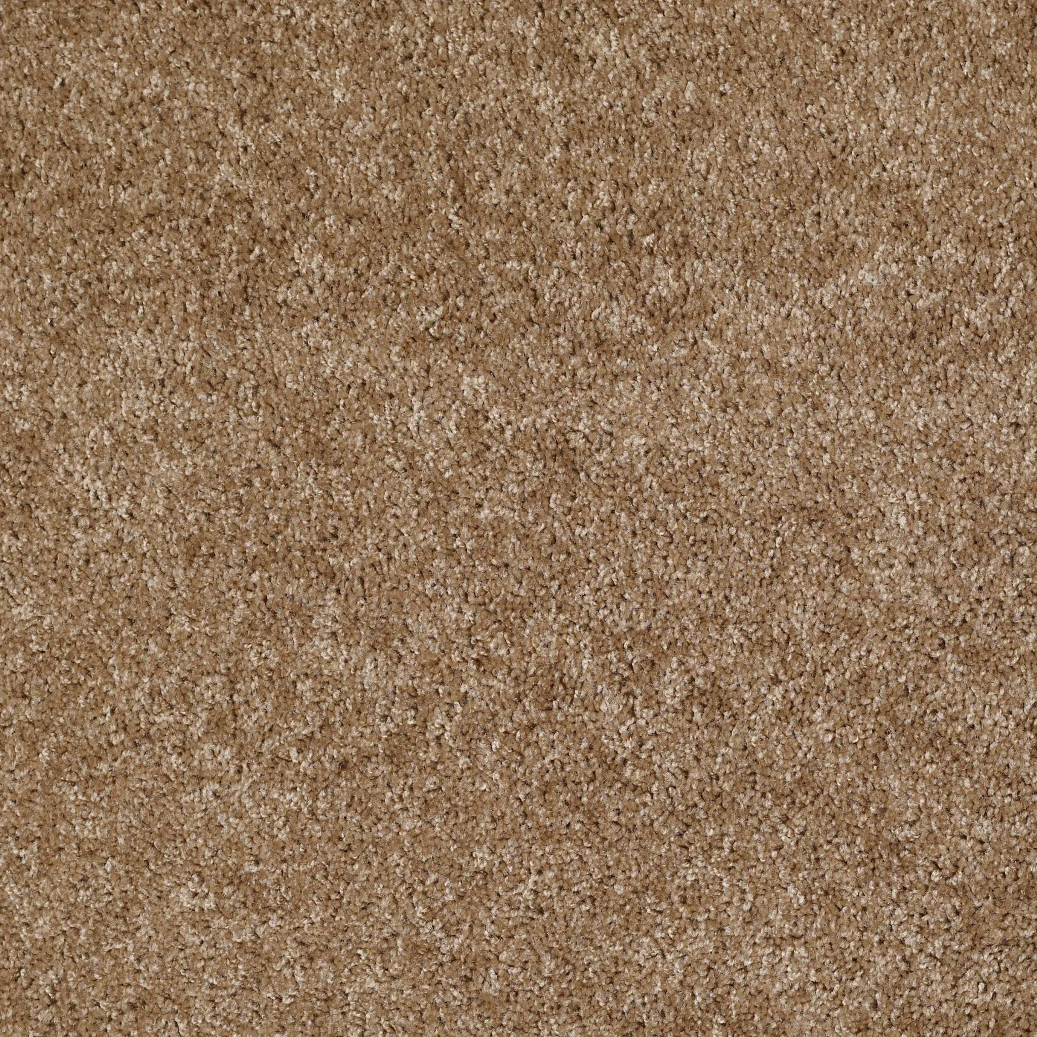 Carpet | Puckett's Flooring