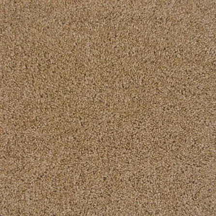 Carpet | Puckett's Flooring