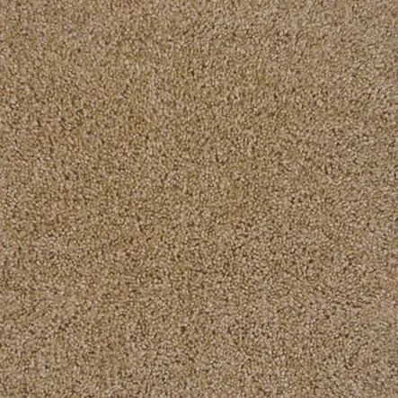 Carpet | Puckett's Flooring