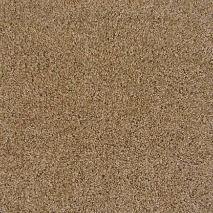 Carpet | Puckett's Flooring