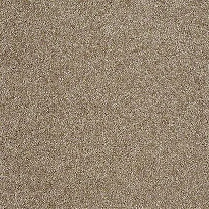 Carpet | Puckett's Flooring