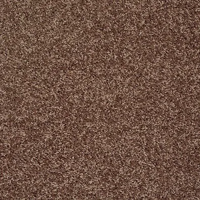 Easy to clean Carpet | Puckett's Flooring