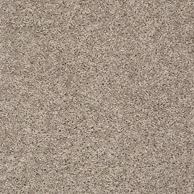 Carpet | Puckett's Flooring