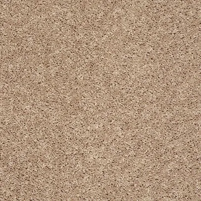 Carpet | Puckett's Flooring