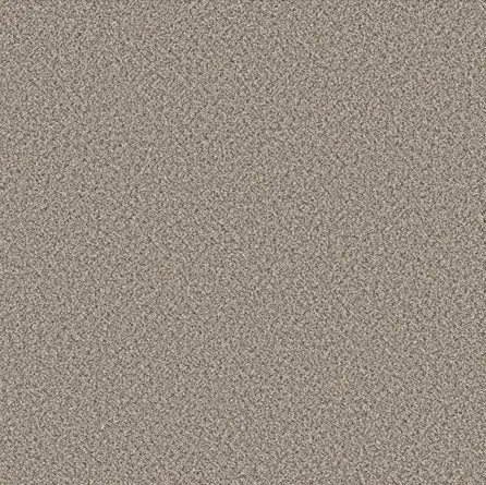 Soft Carpet | Puckett's Flooring