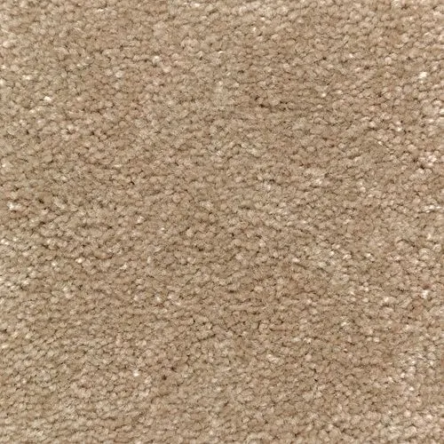 Carpet | Puckett's Flooring