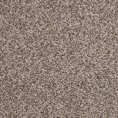 Carpet | Puckett's Flooring