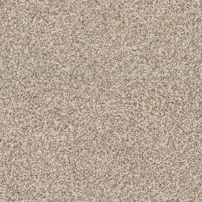 Carpet | Puckett's Flooring
