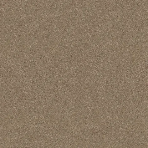 Carpet | Puckett's Flooring