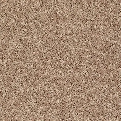 Easy to clean Carpet | Puckett's Flooring
