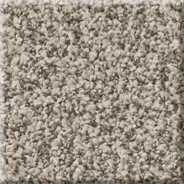 Carpet | Puckett's Flooring