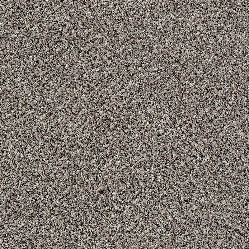Carpet | Puckett's Flooring