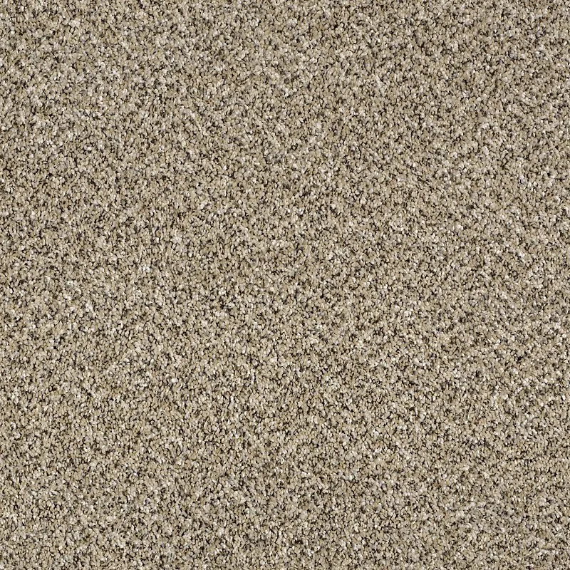 Carpet | Puckett's Flooring
