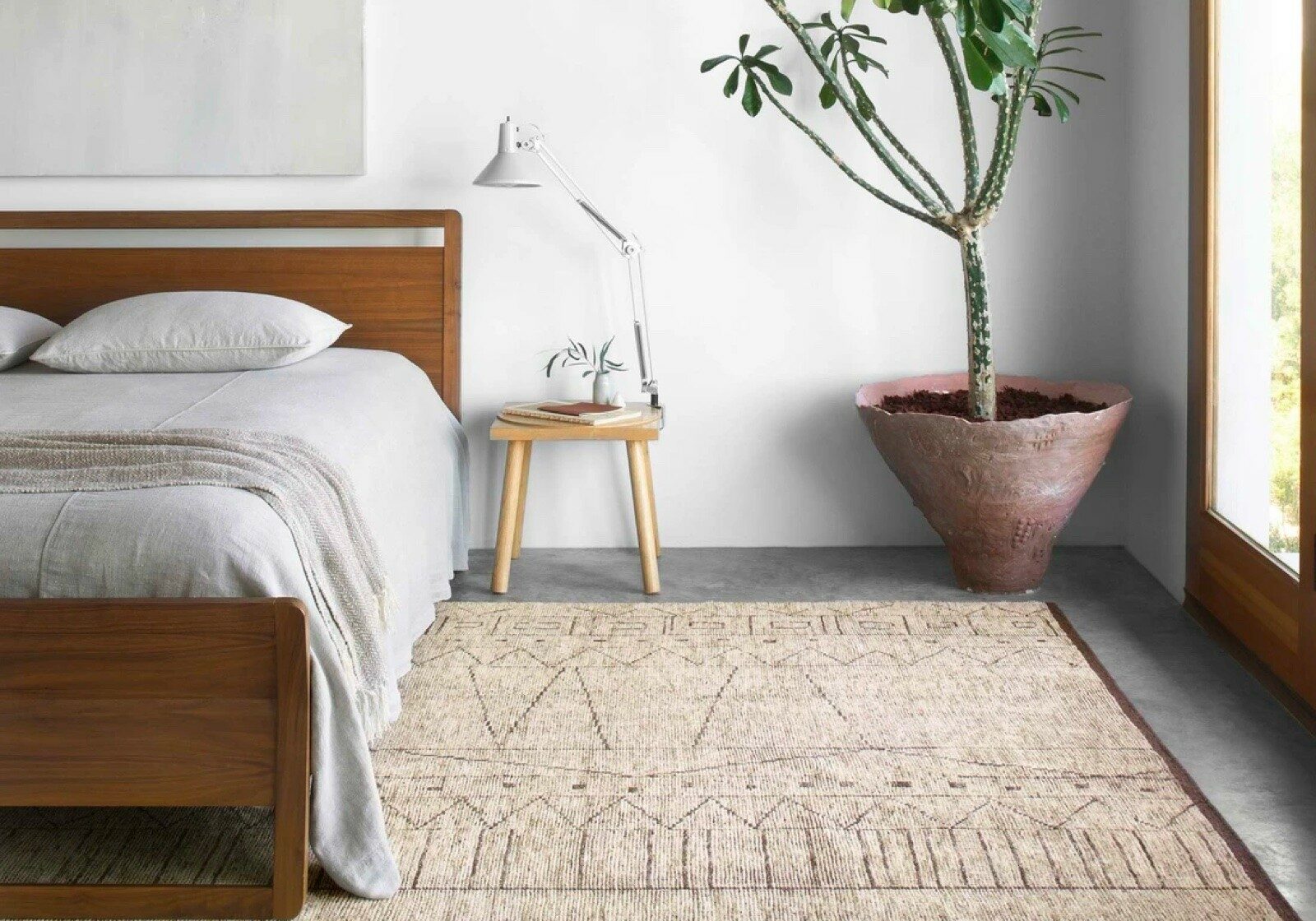 Loloi rug | Pucketts Flooring
